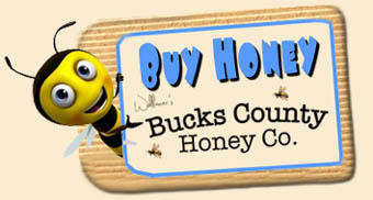 Buy Bucks County Raw Honey